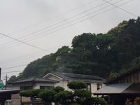 雨を受け止める 2018/05/07 06:58:52