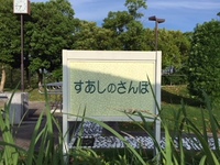 贅沢 2018/06/14 07:03:35