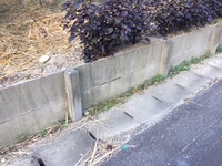 はみ出し者 2018/07/21 06:59:44