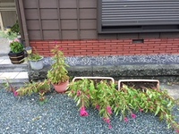 被害の確認 2018/07/29 06:11:11