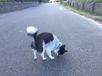 カラダで感じる 2018/07/30 06:50:20