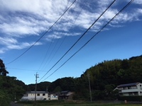 秋風みたい 2018/08/17 06:24:47