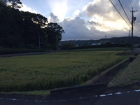 ほんの一瞬 2018/08/21 06:30:02