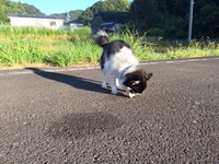 昨日、無事に感謝祭終了 2018/08/27 06:44:06