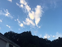 秋晴れ？ 2018/09/24 06:41:45