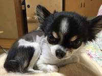 保育園の現状？
