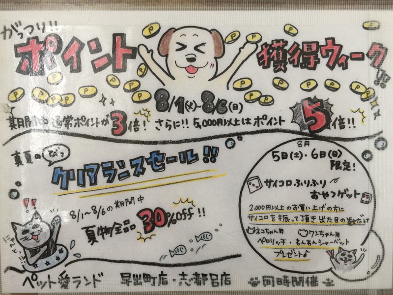 がっつりポイント獲得ウィーク～♪