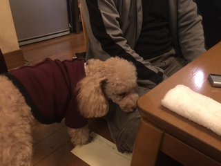 忘年会に行ってきました。