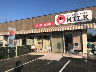 本日リニューアルオープン！