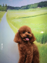 磐田店　撮影会の様子