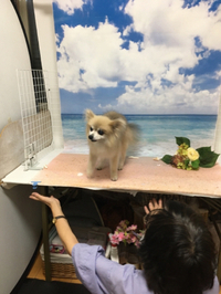 掛川店　撮影会