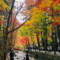 小国神社　油山寺