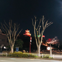 クリスマスイブの夜は