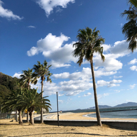 西浦　パームビーチ