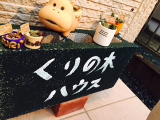 くりの木ほのぼの日記☘　⑮　多肉ちゃん
