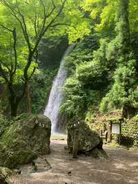 養老の滝に行ってきた～