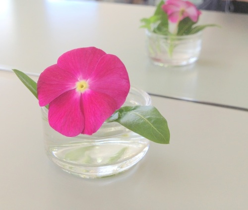 １１日目終了♪