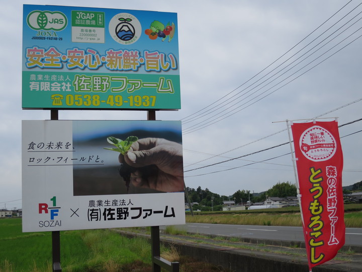 森町・佐野ファームの「とうもろこし」、超甘くてうまいです！！