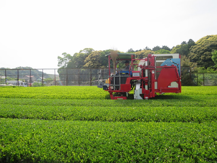 アジアの留学生たちと袋井の荻原製茶を訪問。「茶刈機」、かっこいいぜ～！