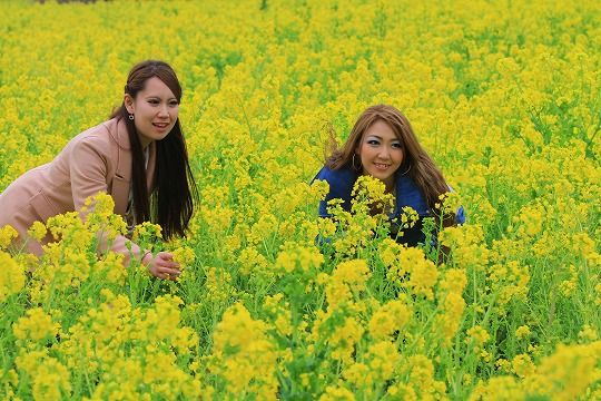 伊良湖菜の花ガーデンにて 話したいこと日記