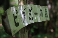 見晴岳・雲上の丘 2012/08/21 08:22:28