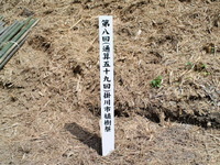 第８回　掛川市植樹祭＠たまり～な 2012/05/01 02:55:56