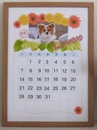 専属モデル「UME」ちゃん 2011/07/29 13:35:58