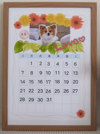 専属モデル「UME」ちゃん