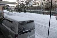 浜松に大雪～！ 2011/01/17 11:08:28