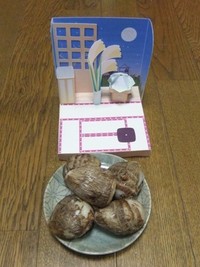 中秋の名月 2011/09/12 22:37:37