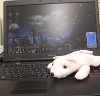 明けましておめでとうございます 2012/01/06 15:46:06