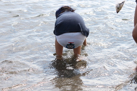 海辺のみつろう粘土