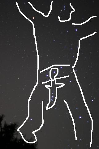 星降る夜に２