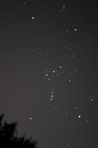 星降る夜に２