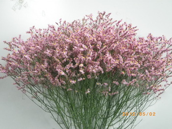 蜜月