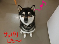 あずきちゃん＆エリザベスちゃん