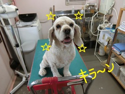 あずきちゃん＆エリザベスちゃん