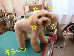 ココちゃん＆雅ちゃん＆なつちゃん