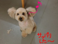 ココちゃん＆雅ちゃん＆なつちゃん