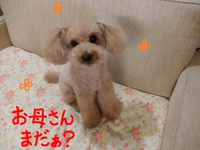 ココちゃん＆雅ちゃん＆なつちゃん