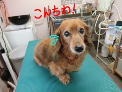 ココちゃん＆雅ちゃん＆なつちゃん