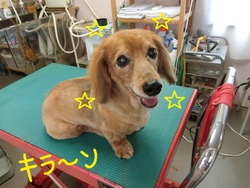 ココちゃん＆雅ちゃん＆なつちゃん