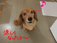 ココちゃん＆雅ちゃん＆なつちゃん