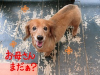 ココちゃん＆雅ちゃん＆なつちゃん