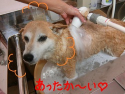 ココちゃん＆雅ちゃん＆なつちゃん
