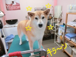 ココちゃん＆雅ちゃん＆なつちゃん