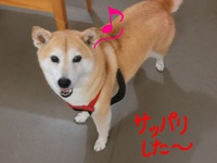 ココちゃん＆雅ちゃん＆なつちゃん