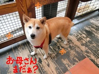 ココちゃん＆雅ちゃん＆なつちゃん