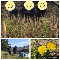 強風にも負けず 2020/03/24 17:37:12