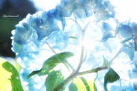龍の背にのり里帰り♪②